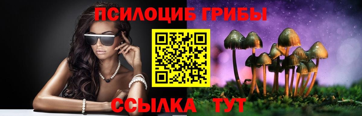 Галлюциногенные грибы мухоморы  Вход с VPN  Новодвинск 