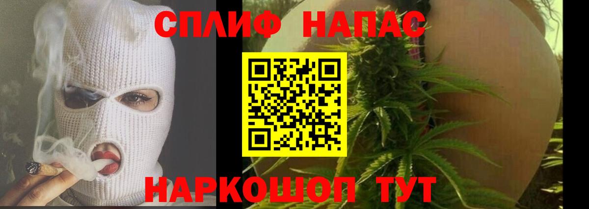 Канабис гибрид Новодвинск